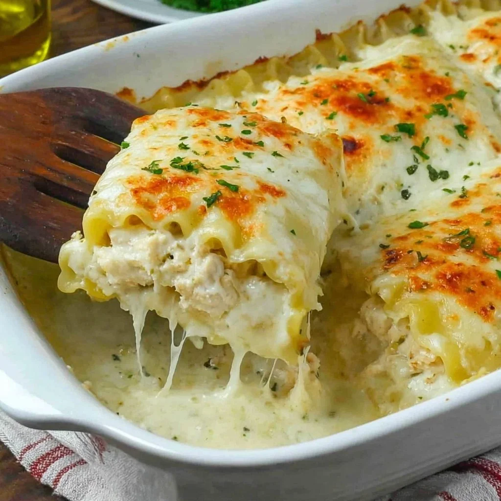 Creamy Chicken Alfredo Lasagna Roll Ups served in a dish.