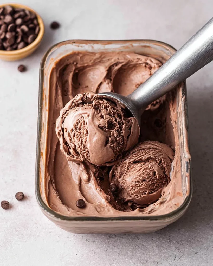 Vegan Chocolate Ice Cream 2 Ingredients 2026 04 12 215109 819x1024 1