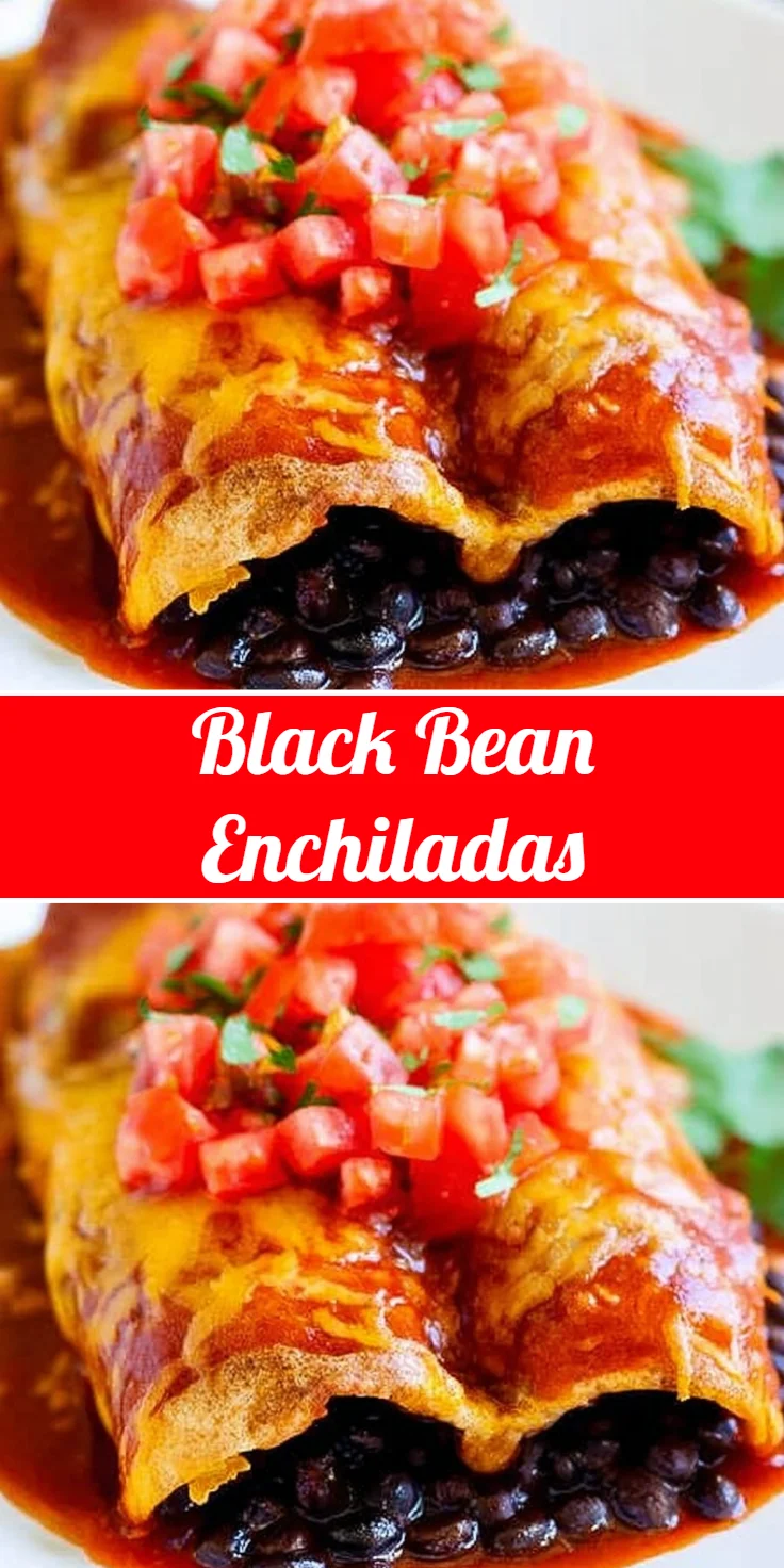 Black Bean Enchiladas