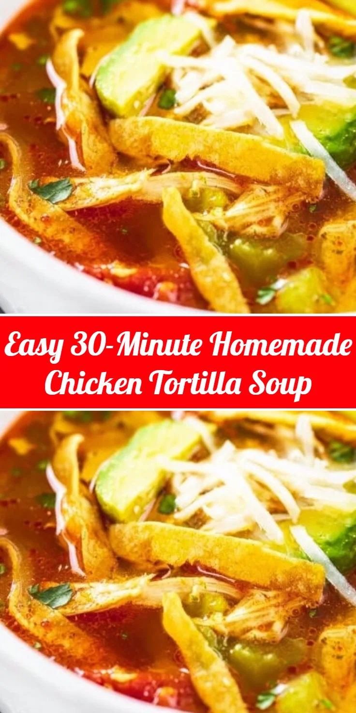Easy 30-Minute Homemade Chicken Tortilla Soup