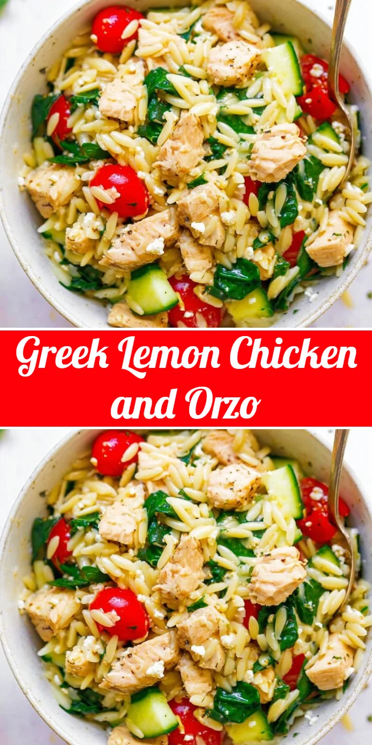 Greek Lemon Chicken and Orzo