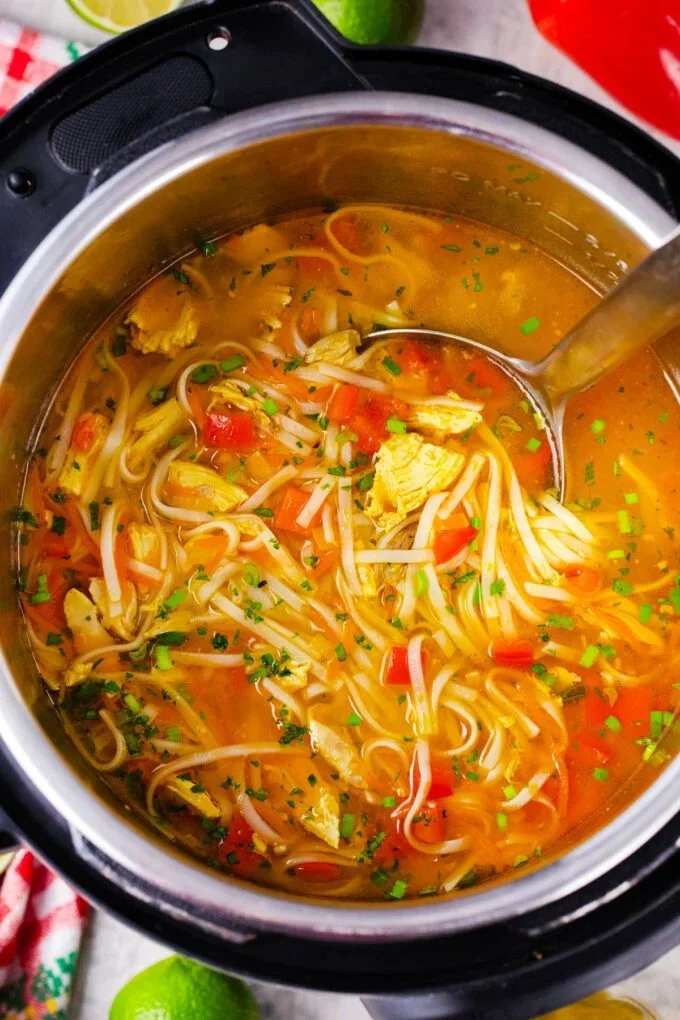 Instant Pot Asian Chicken Noodle Soup